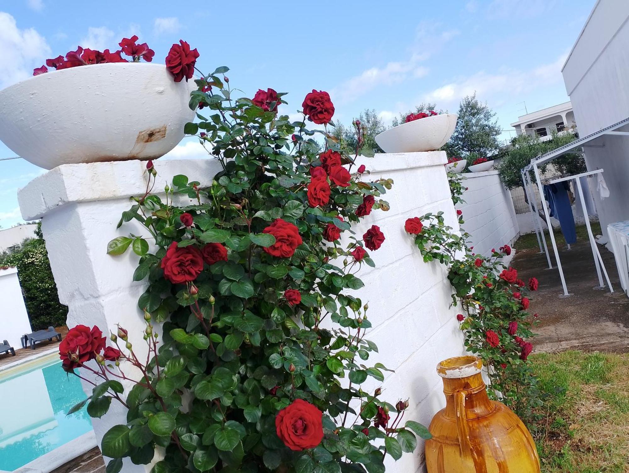 La Dimora Di Nonna Giuliana Otel Ostuni Dış mekan fotoğraf